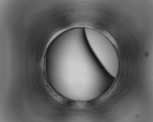 X0000100751052200806190818