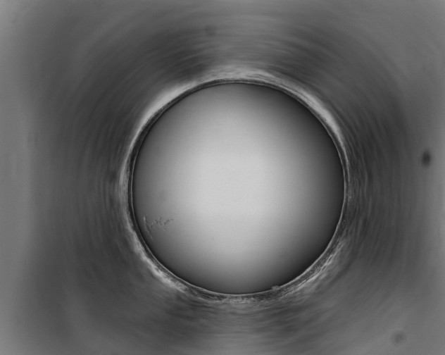 X0000100751053200806190818