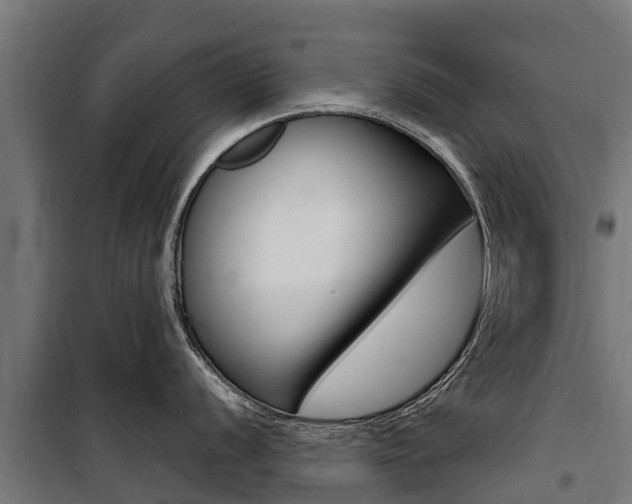 X0000100751056200806190818