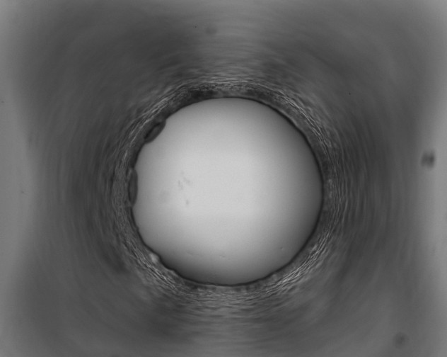 X0000100751057200806190817
