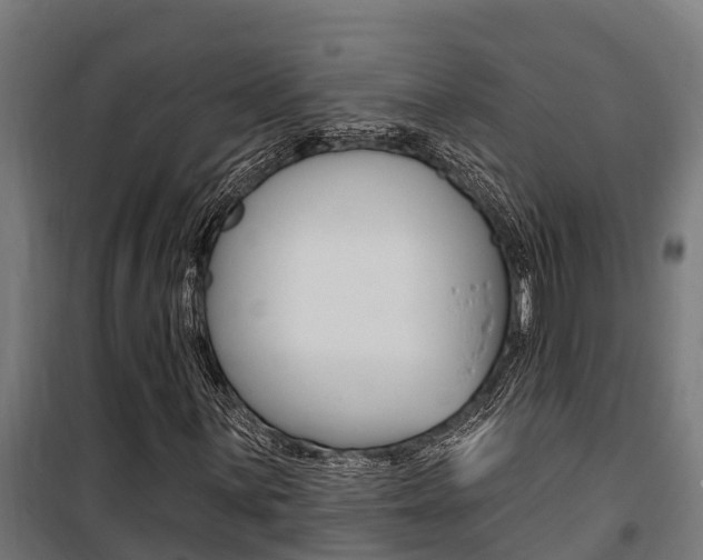 X0000100751059200806190817