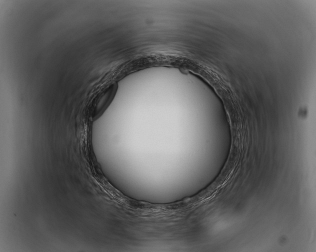 X0000100751061200806190817
