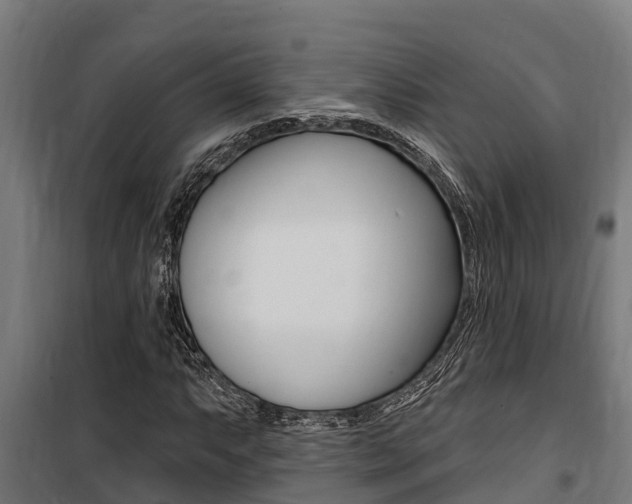 X0000100751063200806190817