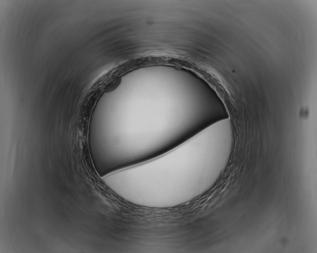 X0000100751064200806190817