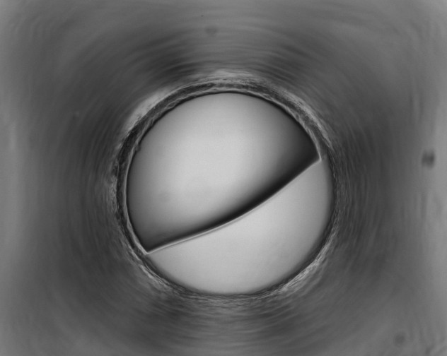 X0000100751066200806190817