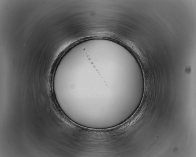 X0000100751071200806190817