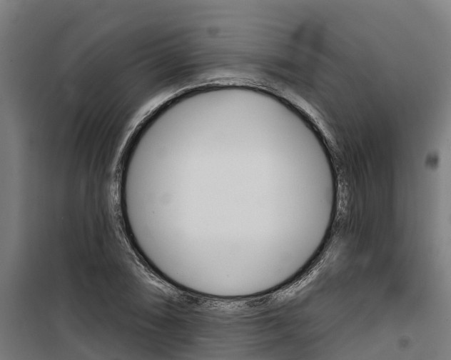 X0000100751074200806190817
