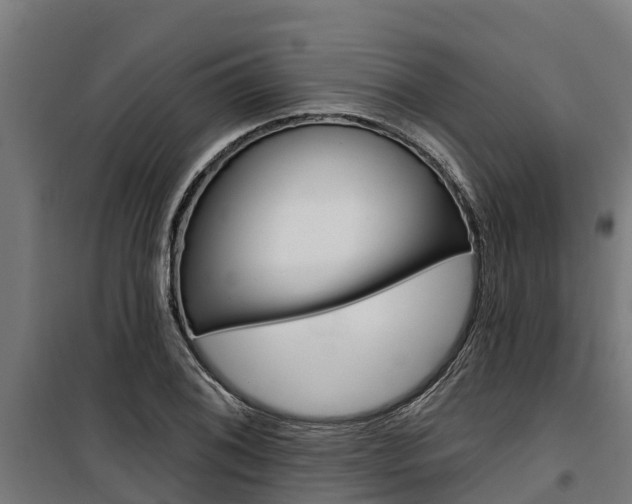 X0000100751076200806190817