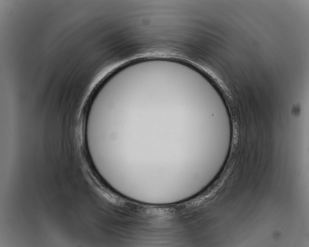 X0000100751078200806190817