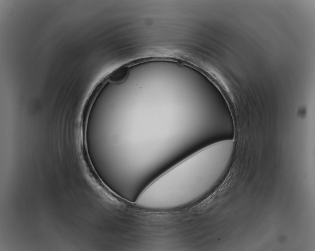 X0000100751080200806190817