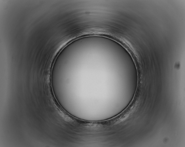 X0000100751081200806190817