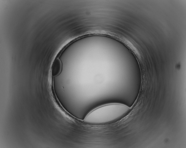 X0000100751084200806190817
