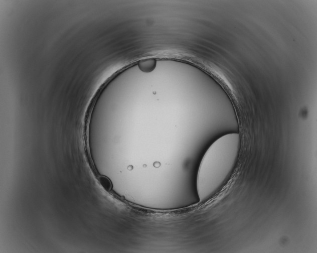 X0000100751087200806190817