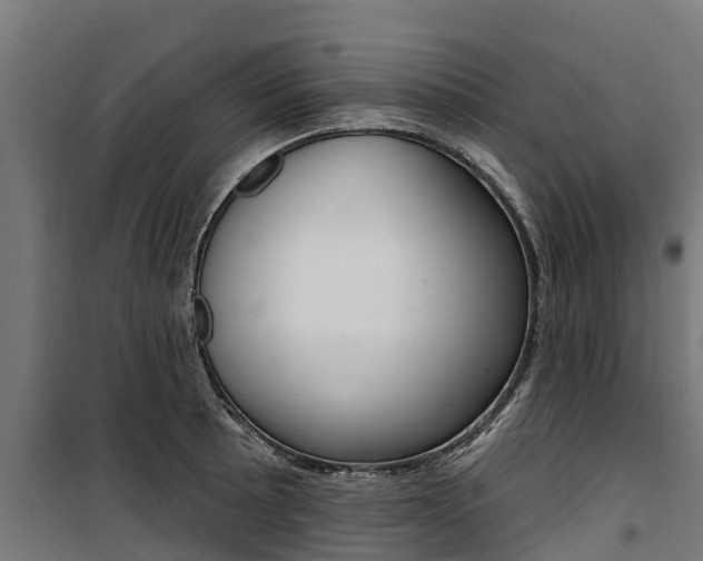 X0000100751089200806190817