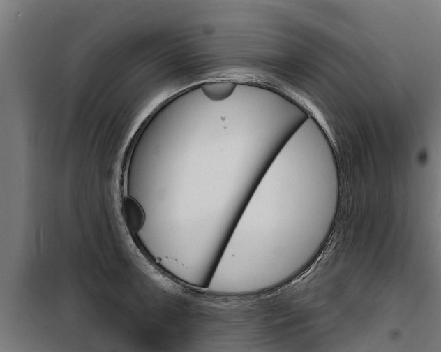 X0000100751091200806190817