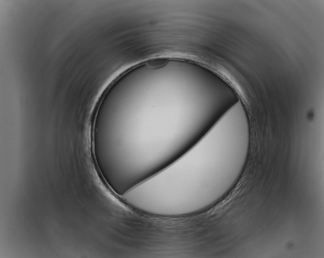 X0000100751092200806190817