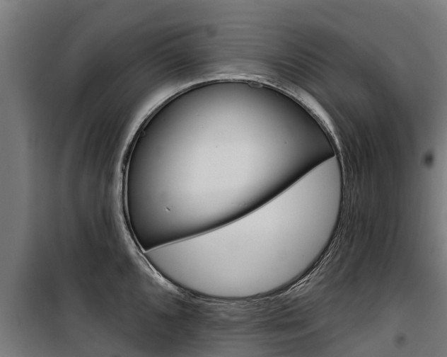 X0000100751096200806190817