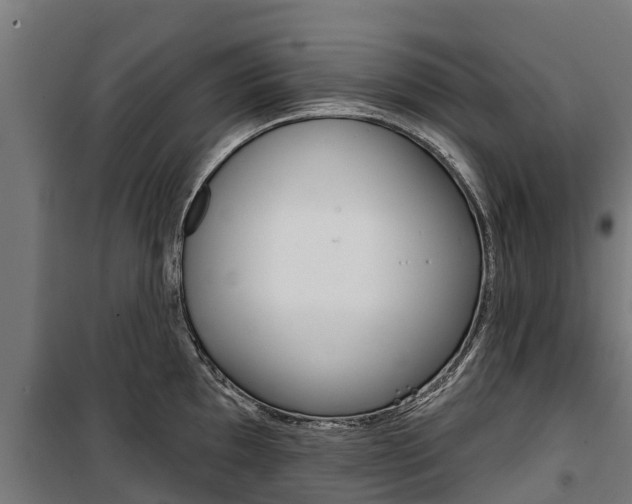 X0000100751097200806190817