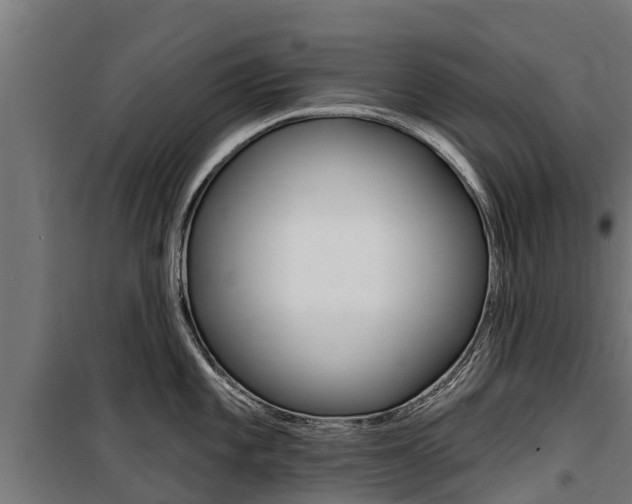 X0000100751101200806190817