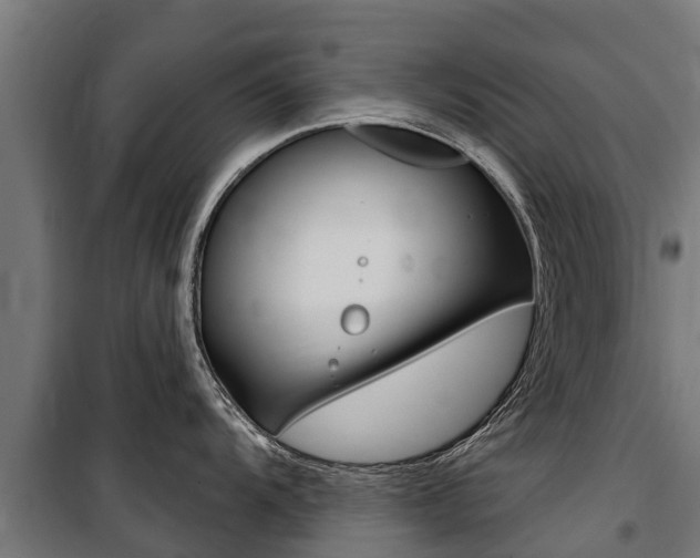 X0000100751104200806190817