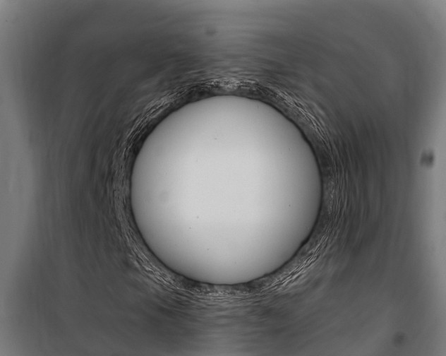 X0000100751105200806190816