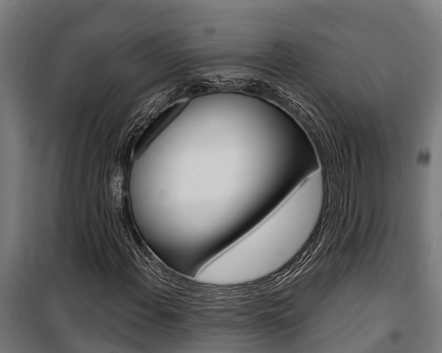 X0000100751108200806190816