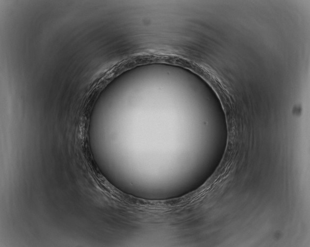 X0000100751110200806190816