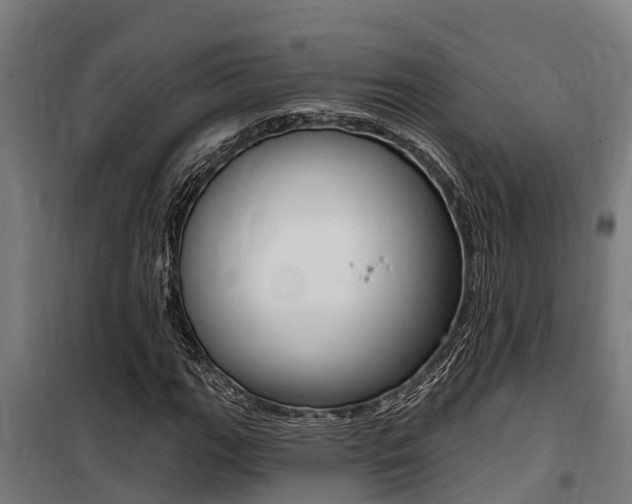 X0000100751111200806190816