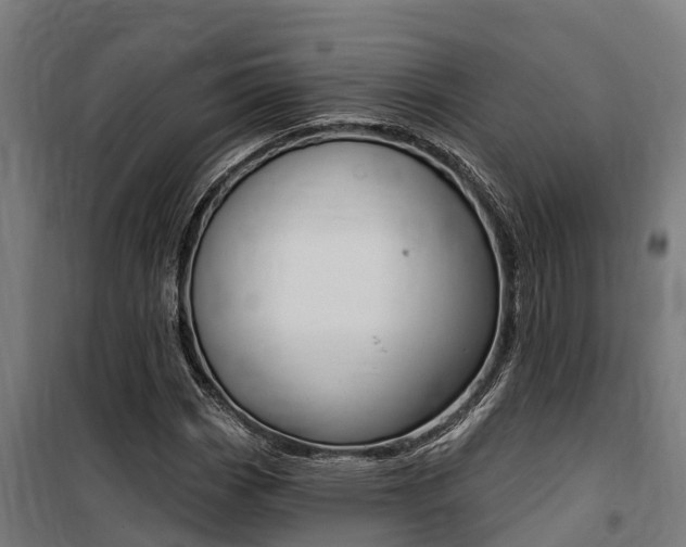 X0000100751113200806190816