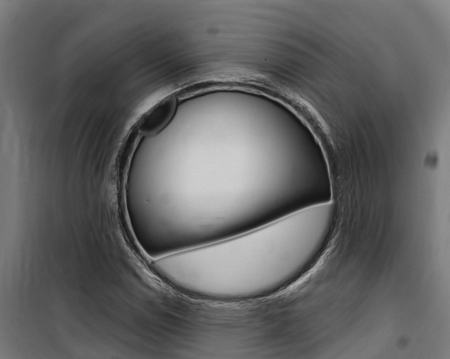 X0000100751114200806190816