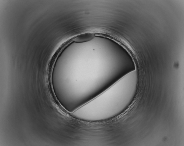 X0000100751116200806190816