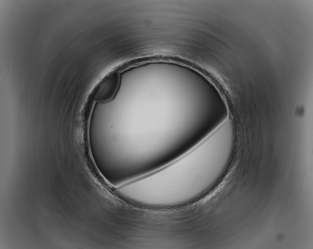 X0000100751118200806190816
