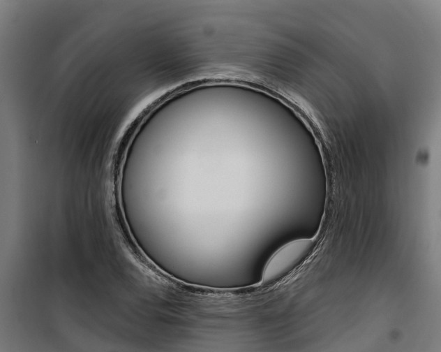 X0000100751120200806190816