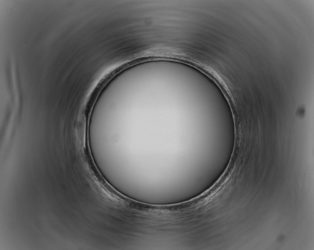 X0000100751123200806190816