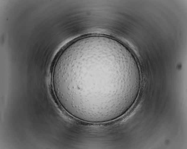 X0000100751125200806190816