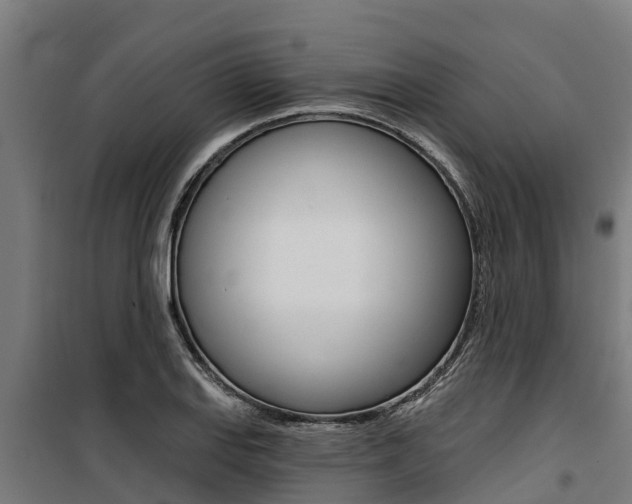 X0000100751127200806190816