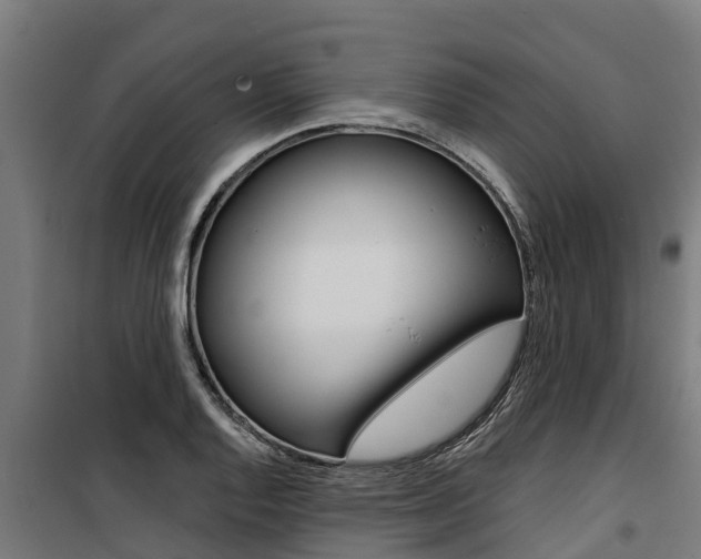 X0000100751128200806190816