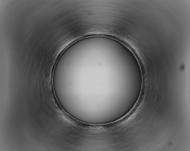 X0000100751129200806190816