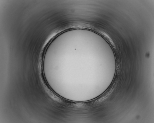 X0000100751130200806190816