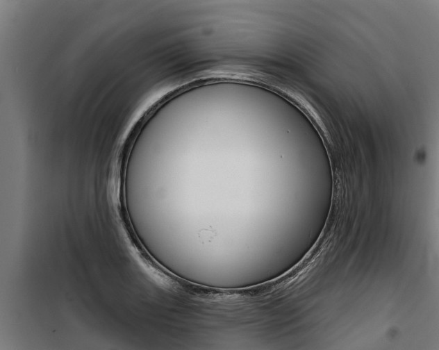X0000100751131200806190816