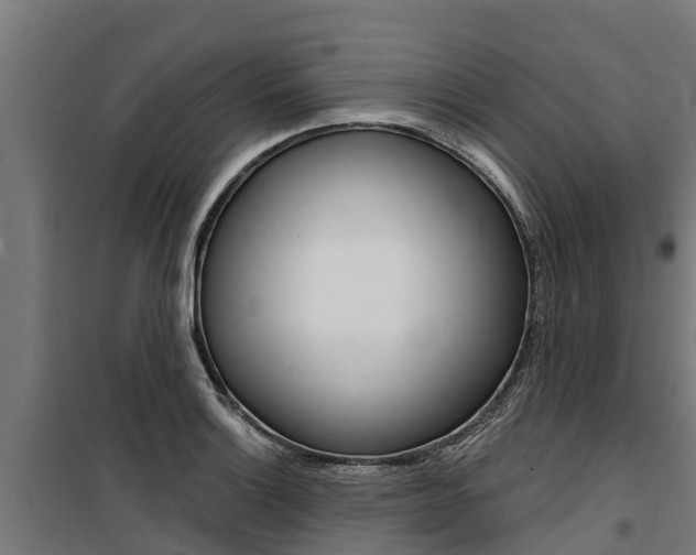 X0000100751132200806190816