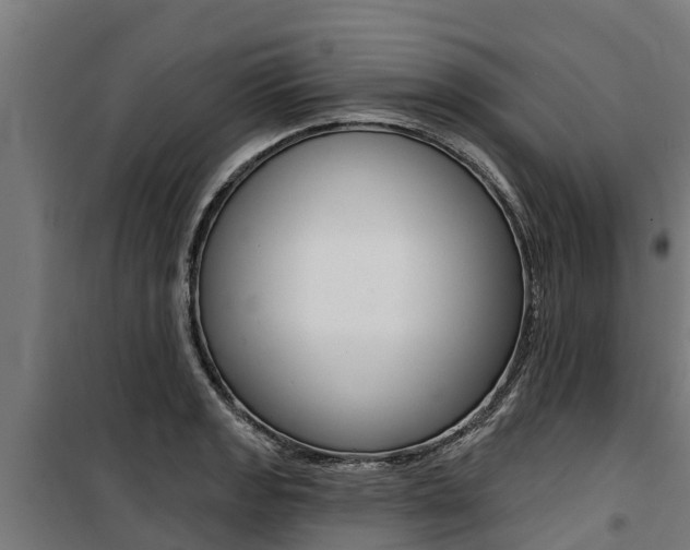 X0000100751133200806190816