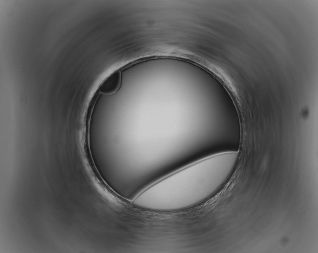 X0000100751136200806190817