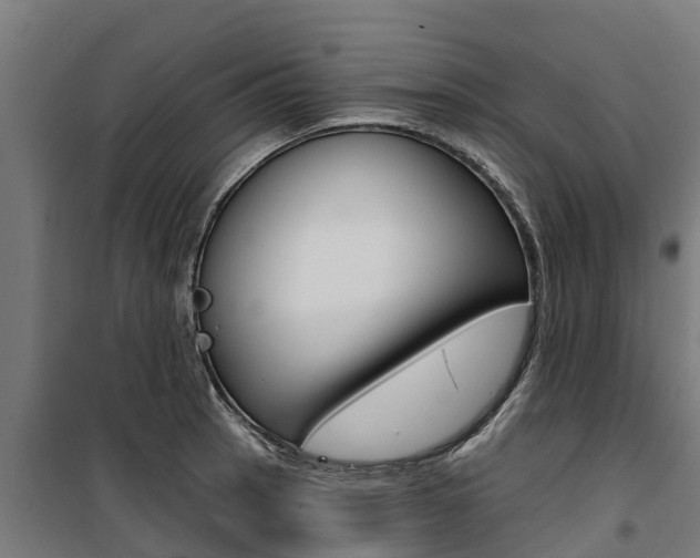 X0000100751137200806190817