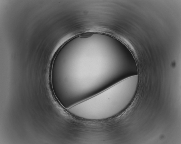 X0000100751138200806190817