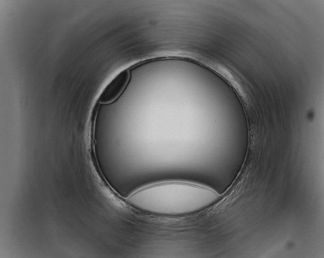 X0000100751140200806190817