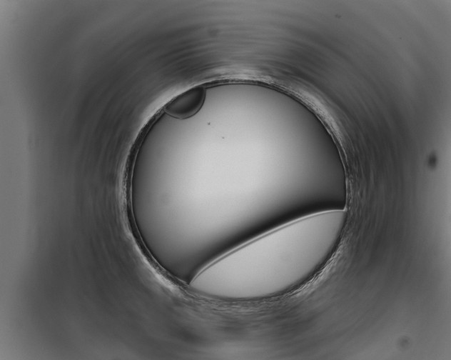 X0000100751141200806190817