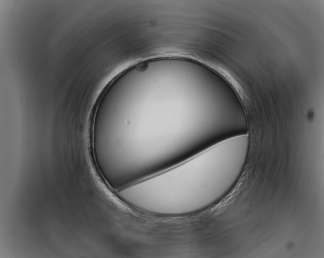 X0000100751142200806190817