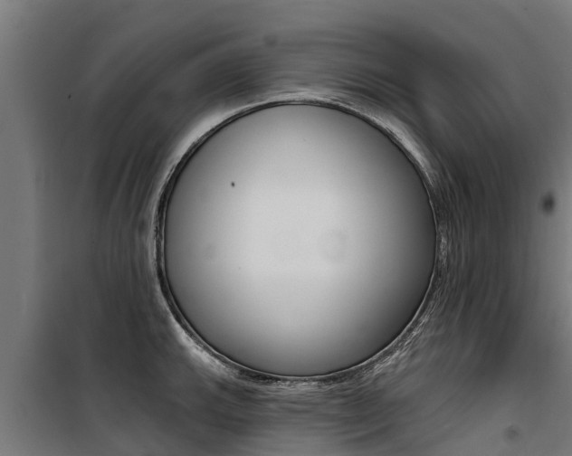 X0000100751143200806190817