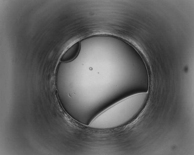 X0000100751145200806190817